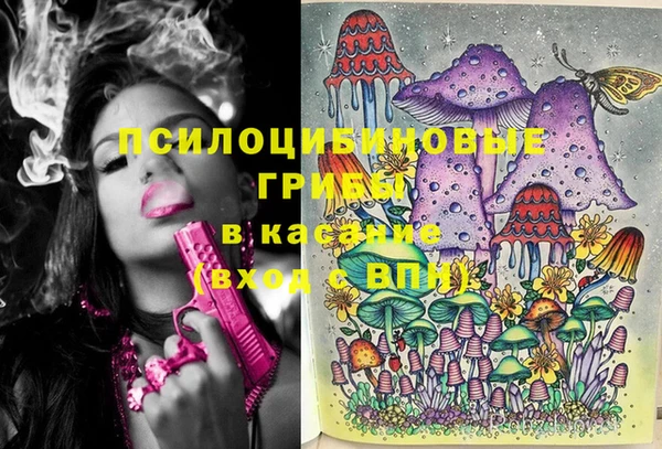 мет Абаза